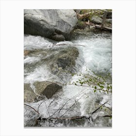 Stream In The Woods 1 Canvas Print