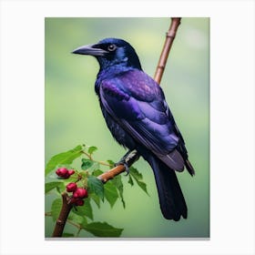 Winged Majesty: Purple-Throated Fruitcrow Wall Art 1 Canvas Print