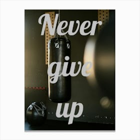 Never Give Up 3 Canvas Print