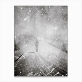 Lost In The Snow Canvas Print
