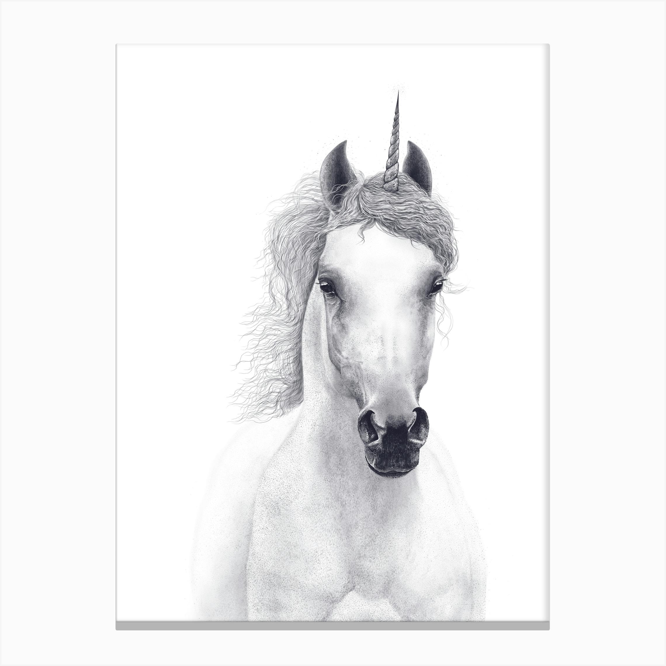 White Unicorn Canvas Wall Art Picture Print 
