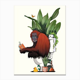 Orangutan On The Toilet Canvas Print