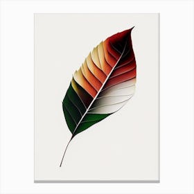 Birch Leaf Abstract 2 Canvas Print