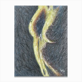 Firefly Canvas Print