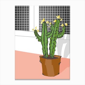 Blooming Cactus I Canvas Print