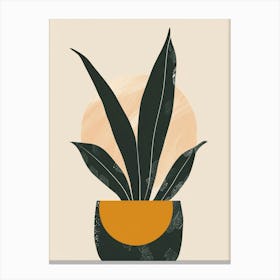 Jade Plant Minimalist Illustration 3 Canvas Print