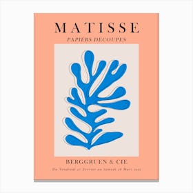 Matisse poster 5 Canvas Print