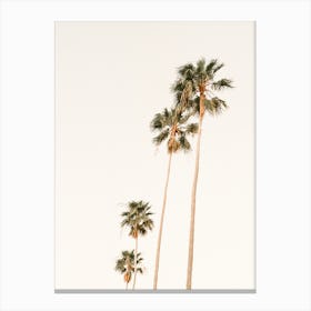 Beach Palm Trees Canvas Print