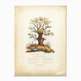 The Royal Allied Oak And Self Created Mushroom Kings, James Heath Canvas Print