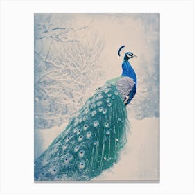 Vintage Peacock Snow Scene Blue 2 Canvas Print