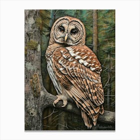 Barred Owl Relief Illustration 2 Canvas Print