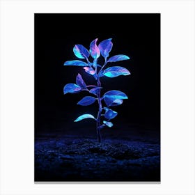 Glow In The Dark Plant 2 Canvas Print