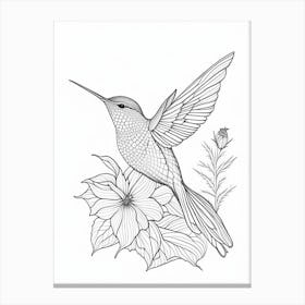 Anna S Hummingbird William Morris Line Drawing 1 Canvas Print