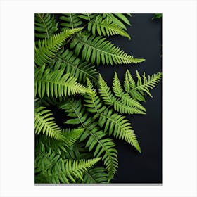 Pattern Poster Japanese Tassel Fern 3 Canvas Print