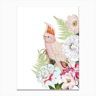 Pink Vintage Cockatoo Floral Canvas Print