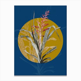 Vintage Botanical Pitcairnia Bromeliaefolia on Circle Yellow on Blue Canvas Print
