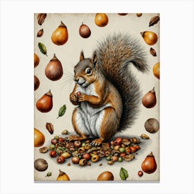 Squirrel With Acorns Canvas Print