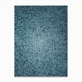 Frosty Surface Canvas Print