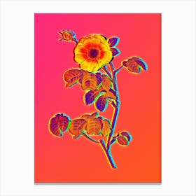 Neon Rose Botanical in Hot Pink and Electric Blue Canvas Print