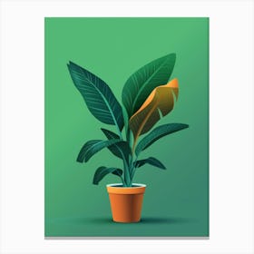 Banana Plant In A Pot 9 Canvas Print