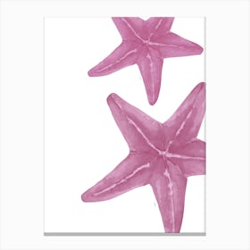 Pink Starfish 2 Canvas Print