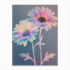 Iridescent Flower Oxeye Daisy 1 Canvas Print
