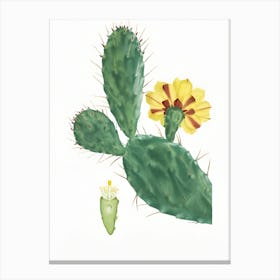 Cactus Flower 9 Canvas Print