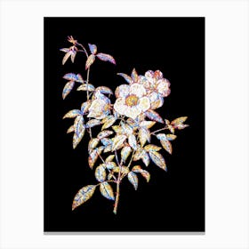 Stained Glass White Rose of Snow Mosaic Botanical Illustration on Black n.0160 Canvas Print