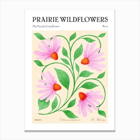 Prairie Wildflowers The Purple Coneflower Canvas Print