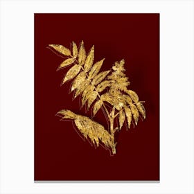 Vintage Staghorn Sumac Botanical in Gold on Red Canvas Print