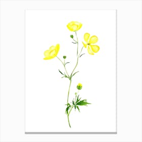 Watercolor Yellow Flowers Canvas Print