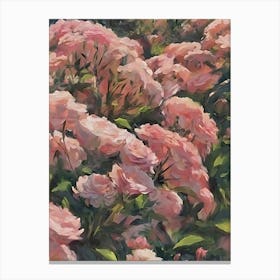 Pink Roses 5 Canvas Print