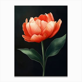 Tulip 3 Canvas Print