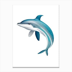 Atlantic Spotted Dolphin Digital Illustration Canvas Print