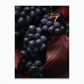 Black Grapes With Red Leaves Canvas Print