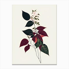 Western Poison Ivy Minimal Line Drawing 2 Canvas Print