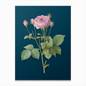 Vintage Pink French Roses Botanical Art on Teal Blue n.0706 Canvas Print