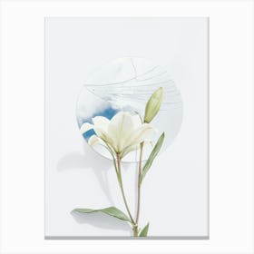 Lily Of The Valley Canvas Print