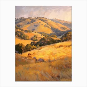 Sunset In The Hills 1 Canvas Print