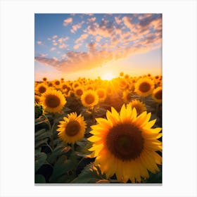 Sunflowers At Sunset Canvas Print