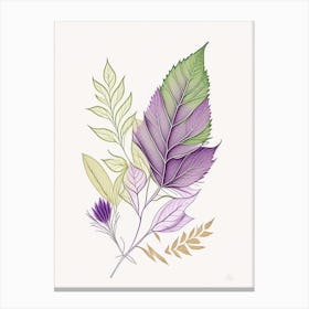 Lavender Contemporary Canvas Print