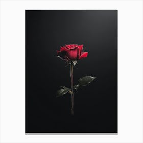 Single Red Rose 8 Canvas Print