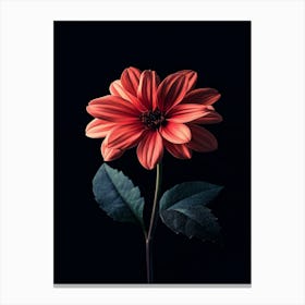 Dahlia Flower 5 Canvas Print