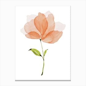 Peach Watercolor Flower Canvas Print