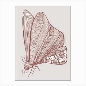 Moth Modern Canvas Print