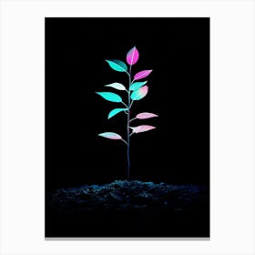 Neon Plant 37 Canvas Print