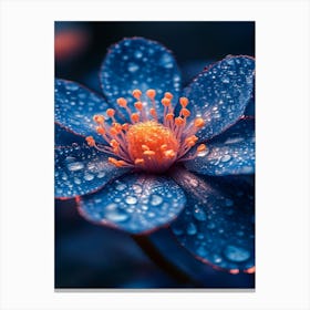 Blue Flower With Water Droplets Canvas Print