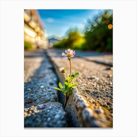 Concrete Garden Discover A Tiny Wildflower Bravel (1) Canvas Print