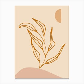 Seaweed Canvas Print