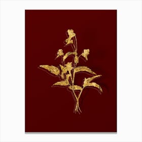 Vintage Blue Spiderwort Botanical in Gold on Red n.0161 Canvas Print